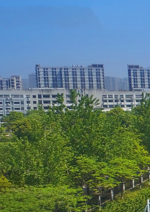 &#31859;&#20848;&#24179;&#21488;&#45;&#31859;&#20848;&#77;&#73;&#76;&#65;&#78;&#40;&#20013;&#22269;&#41;